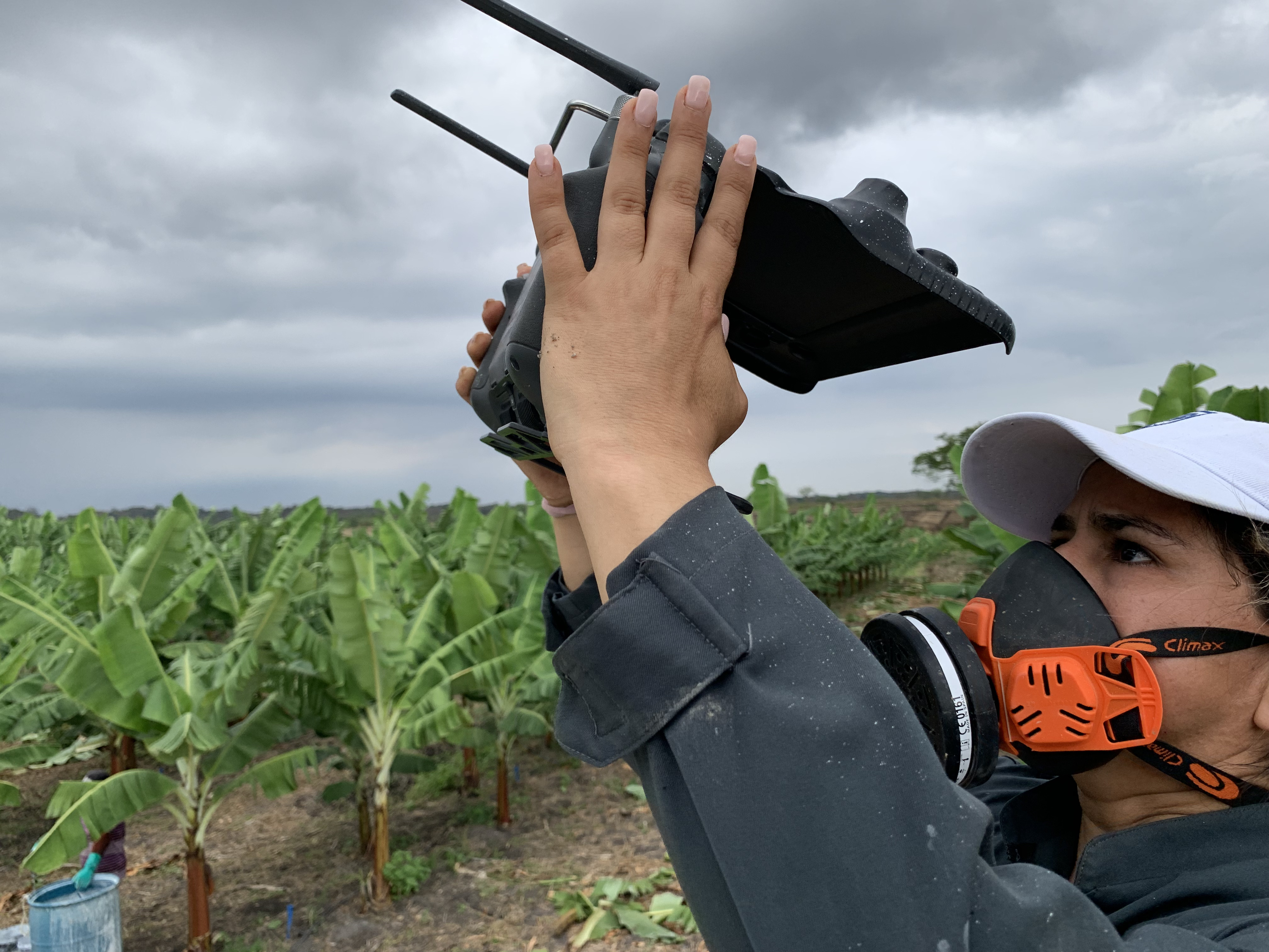 Equipo Keep Safe trabajando