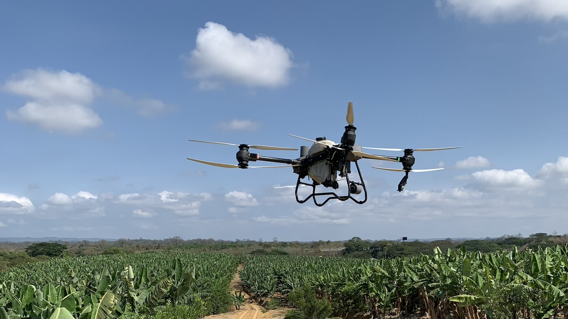 Keep Safe - Agricultura de Precisión